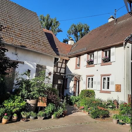La Renardiere Reichshoffen Eksteriør billede
